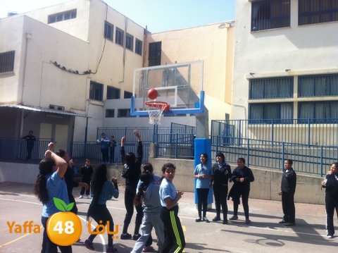 basket7san3arafa (5).JPG